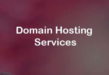 Domain Hosting Services Per Year